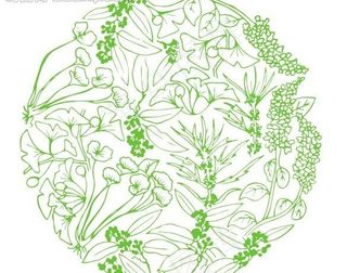 中药花纹图片