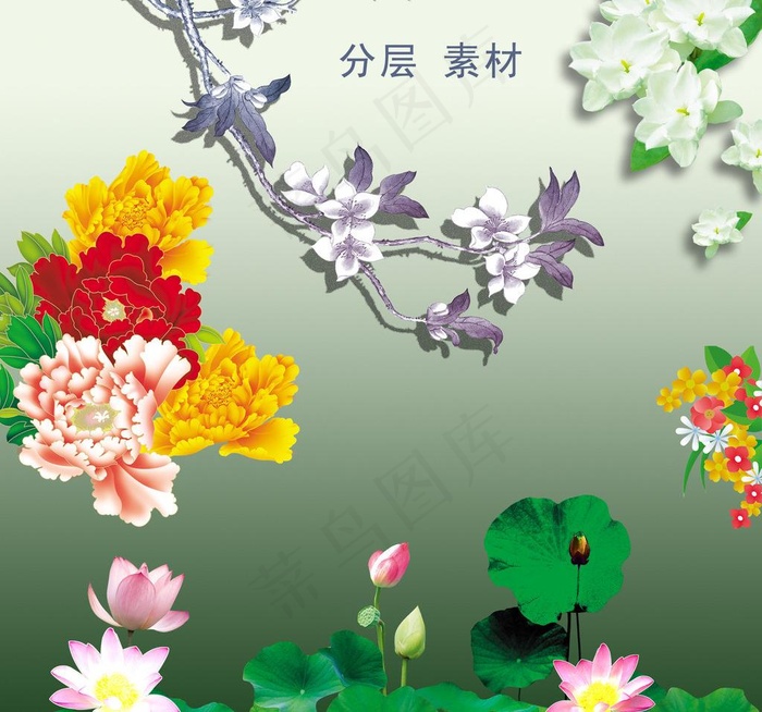 花类 分层素材图片psd模版下载