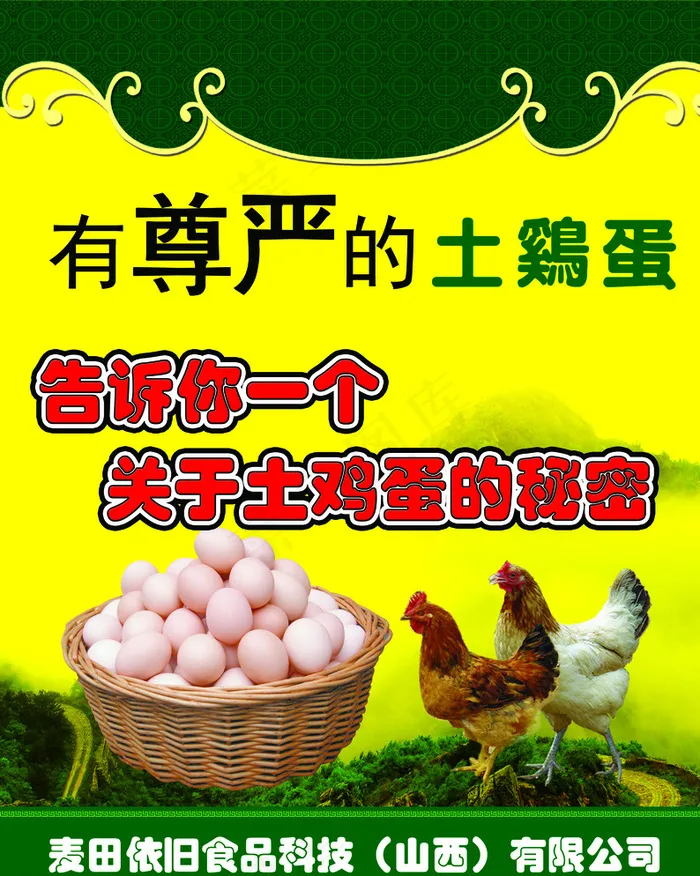 土鸡蛋优惠卡图片(4654X5787(DPI:60))psd模版下载