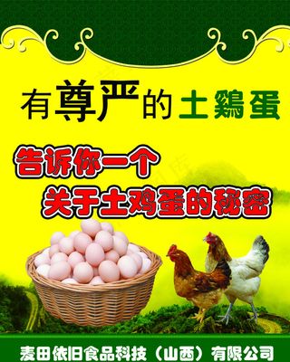 土鸡蛋优惠卡图片
