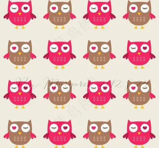 可爱眨眼猫头鹰图片