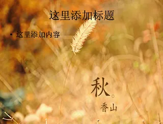 北京香山静宜园秋天风景摄影宽屏p...