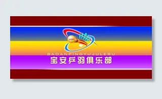 宝安乒羽俱乐部图片