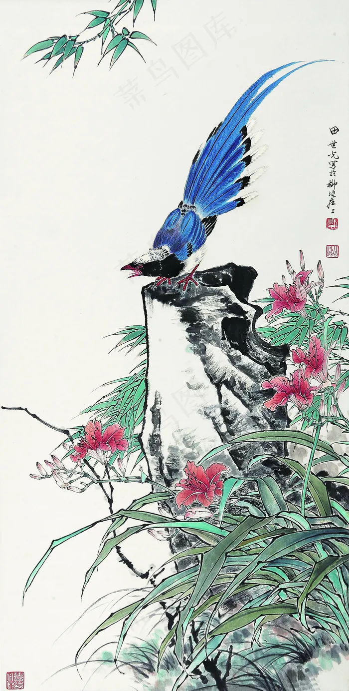 花鸟图片
