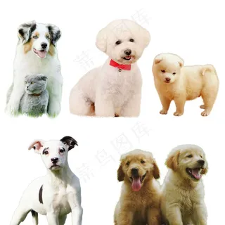 狗狗PSD分层免抠素材