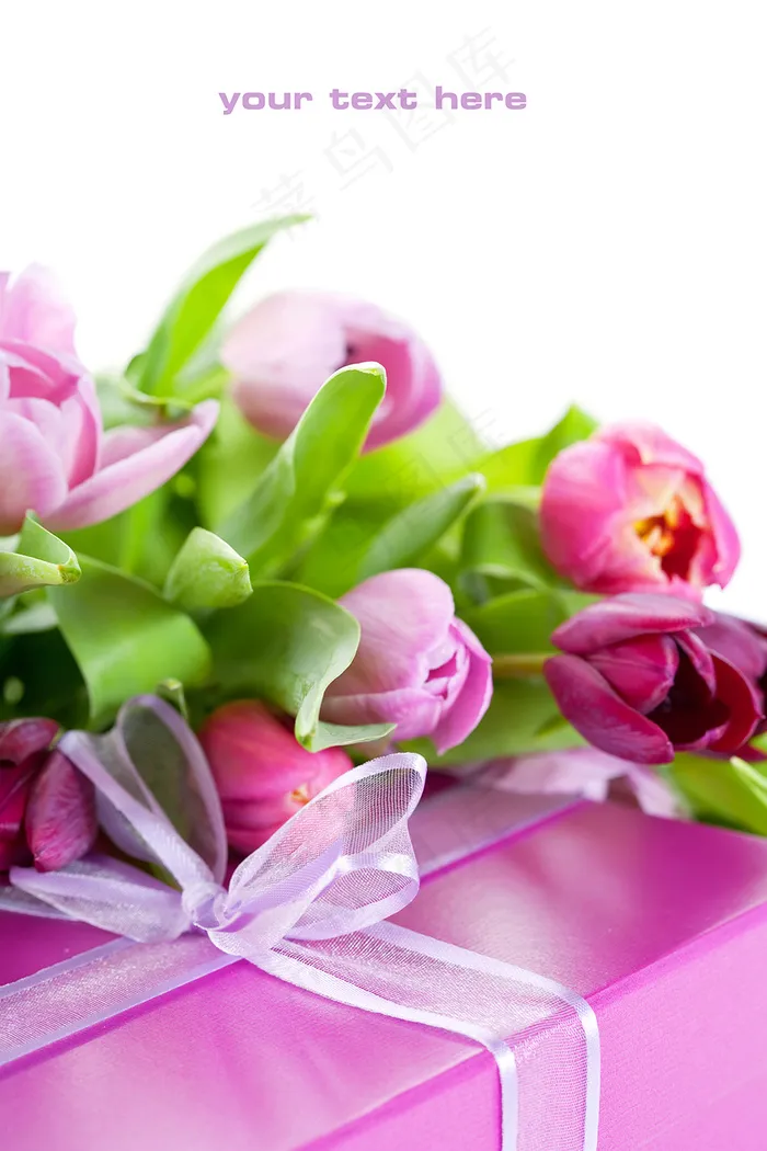 郁金香花束背景图