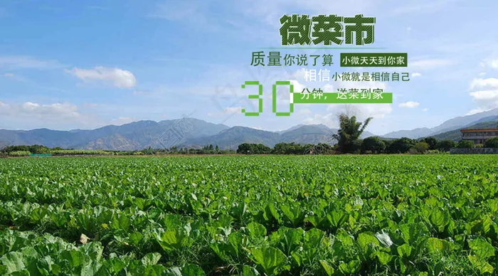ps高清绿色菜田海报下载psd模版下载
