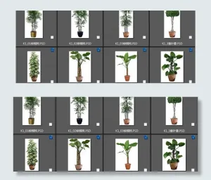 盆栽素材图片