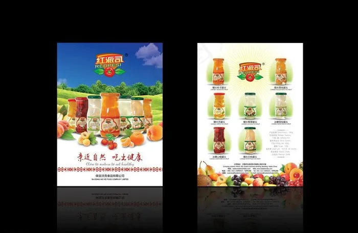 水果罐头单页图片(2551X3437(DPI:300))psd模版下载