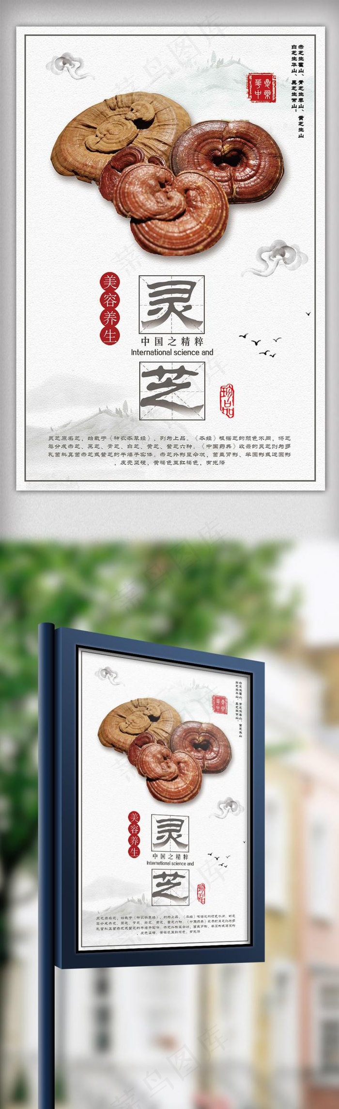 白色背景简约中国风养生灵芝海报(3543X5315(DPI:150))psd模版下载