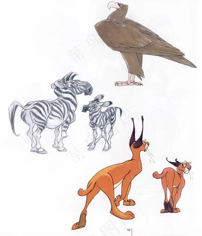 老鹰 斑马 狗图片