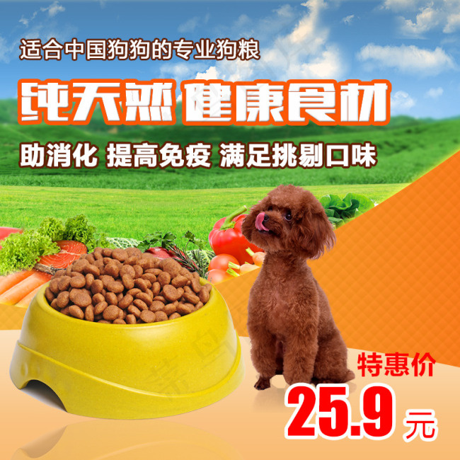 狗粮主图