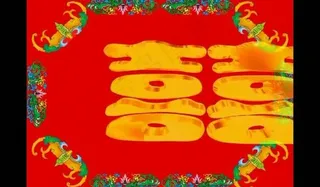 婚礼视频素材图片