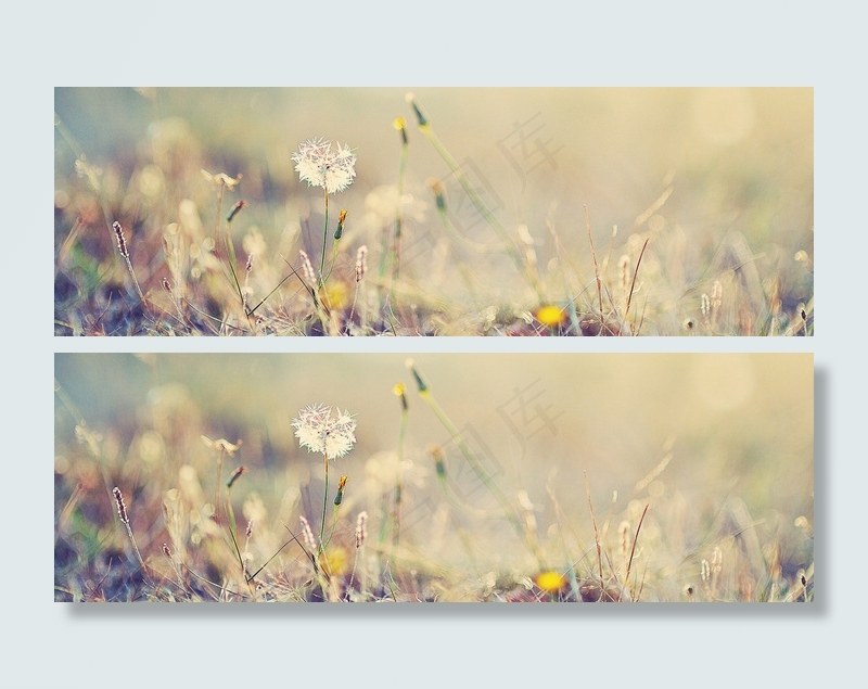 教师节背景banner设计　