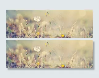 教师节背景banner设计　