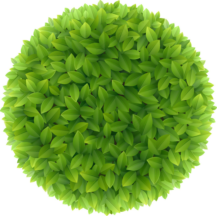 树叶矢量素材ai矢量模版下载