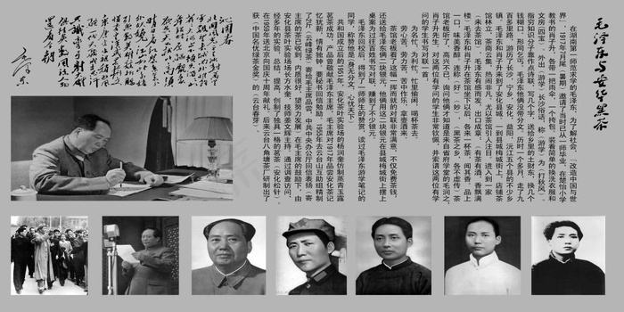 安华黑茶