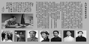 安华黑茶