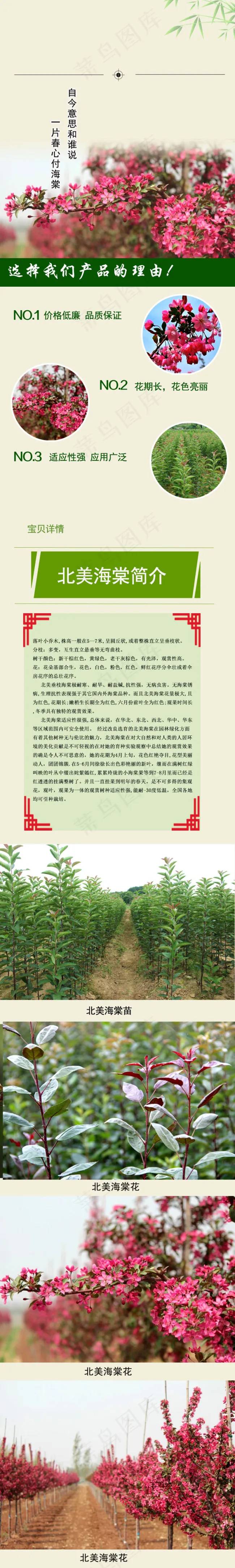 北美海棠详情页psd模版下载