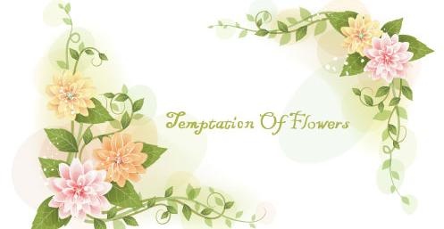 韩国植物装饰边框矢量图41