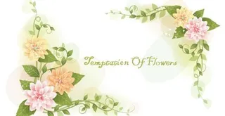 韩国植物装饰边框矢量图41