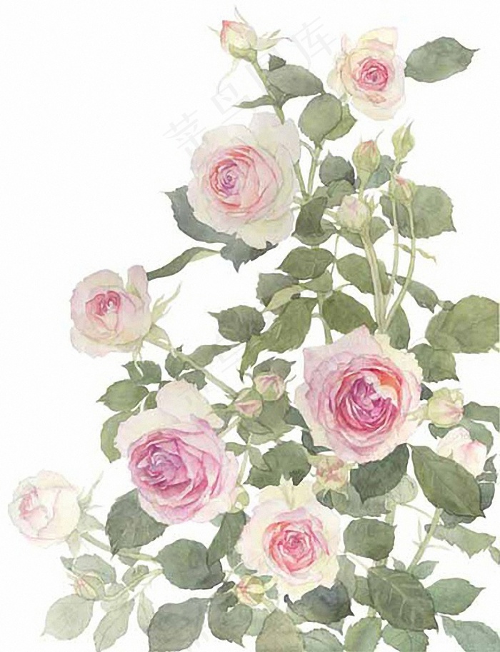 位图 写意花卉 植物 花朵 免费素...