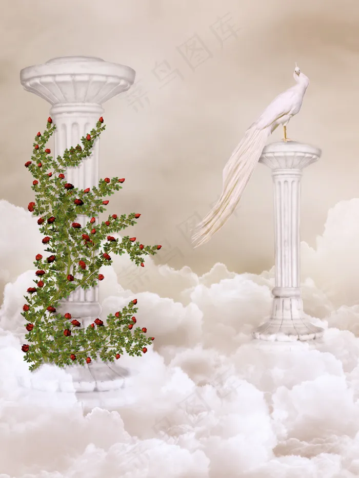 梦幻仙境 和平鸽 罗马柱