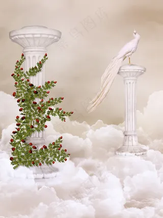 梦幻仙境 和平鸽 罗马柱