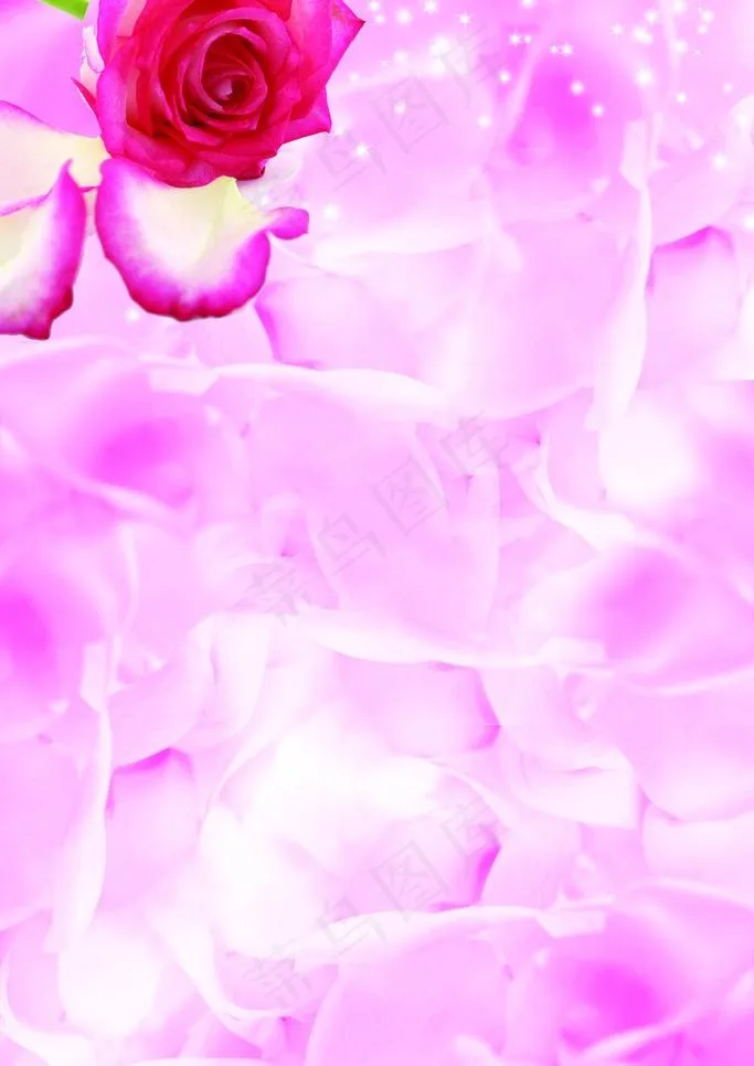 花瓣背景图片(2362X3543(DPI:300))psd模版下载