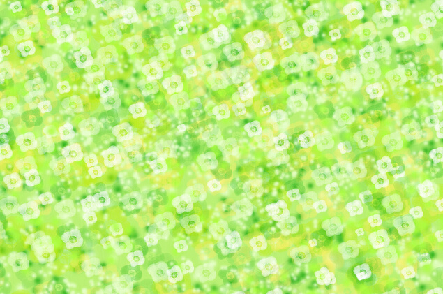 高清印花图案(6496X4724(DPI:300))psd模版下载