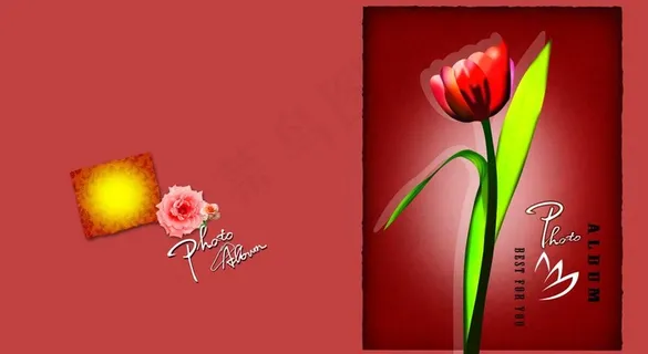 浪漫 温馨 花纹背景图片