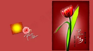 浪漫 温馨 花纹背景图片