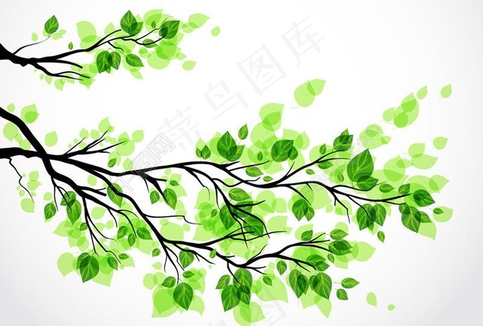 绿色树叶树枝矢量图