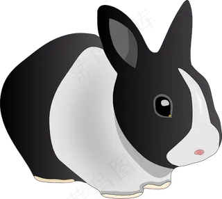 丹科友好兔剪贴画