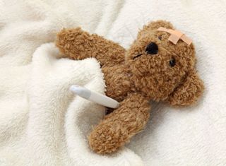 小熊玩偶05——高清图片