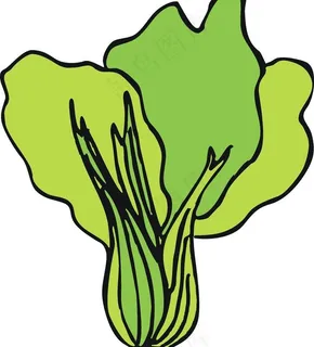 蔬菜图片