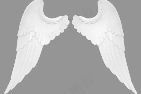 翅膀 天使翅膀图片