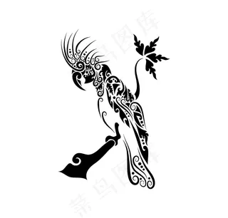 矢量手绘动物鹦鹉