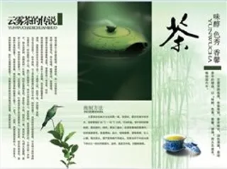 云雾茶三折页