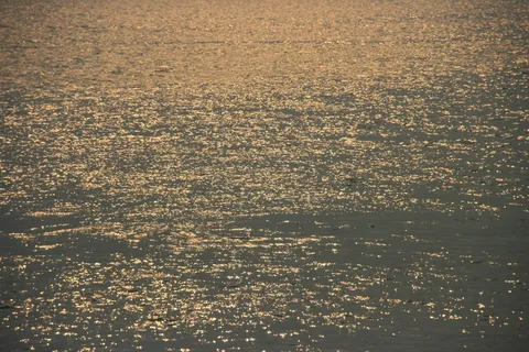 万科 佛山 天鹅湖 地产 别墅 欧...