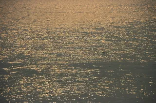 万科 佛山 天鹅湖 地产 别墅 欧...