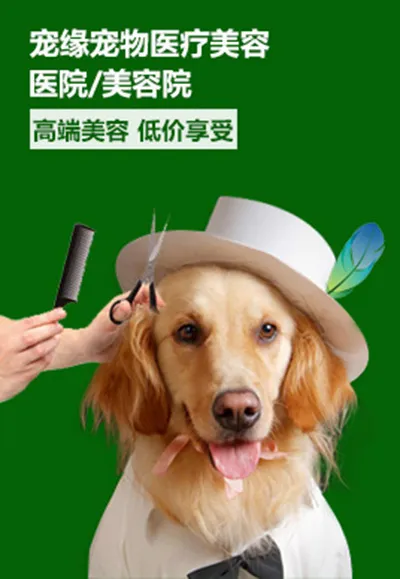 医疗美容psd模版下载