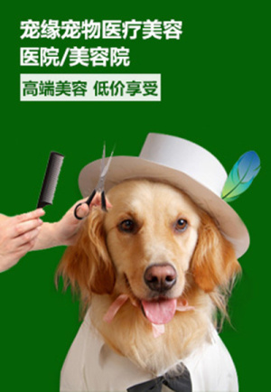 医疗美容