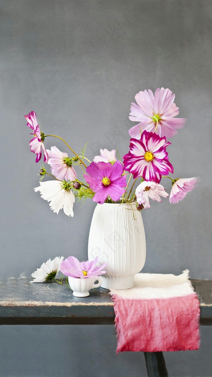 花瓶与花高清摄影图片