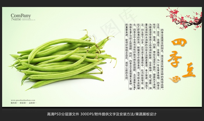 蔬菜展板设计四季豆海报招贴广告设计psd模版下载