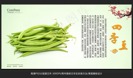 蔬菜展板设计四季豆海报招贴广告设计