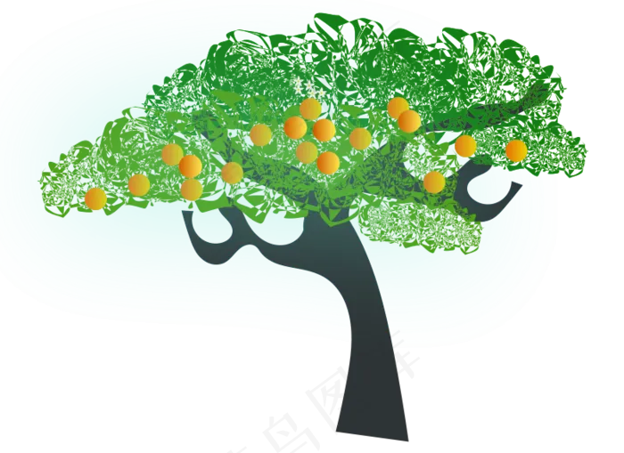 橘子树