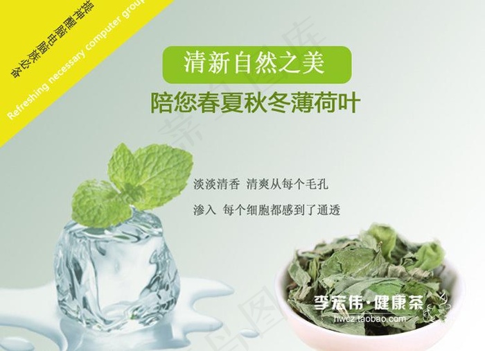 薄荷叶封面图图片