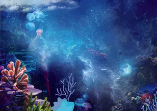 海洋世界小报保护海洋生态手抄报