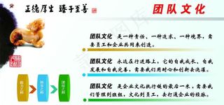 团队文化 公司文化图片